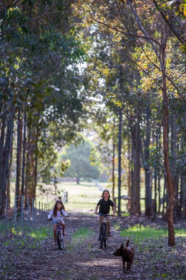 Redgate Forest Retreat Witchcliffe ภายนอก รูปภาพ
