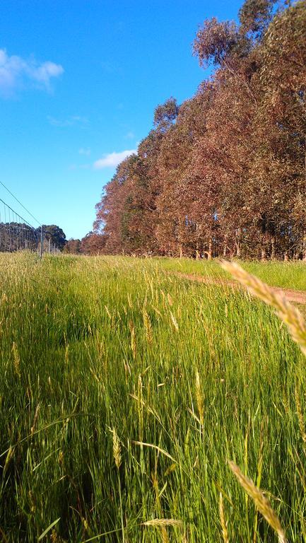 Redgate Forest Retreat Witchcliffe ภายนอก รูปภาพ
