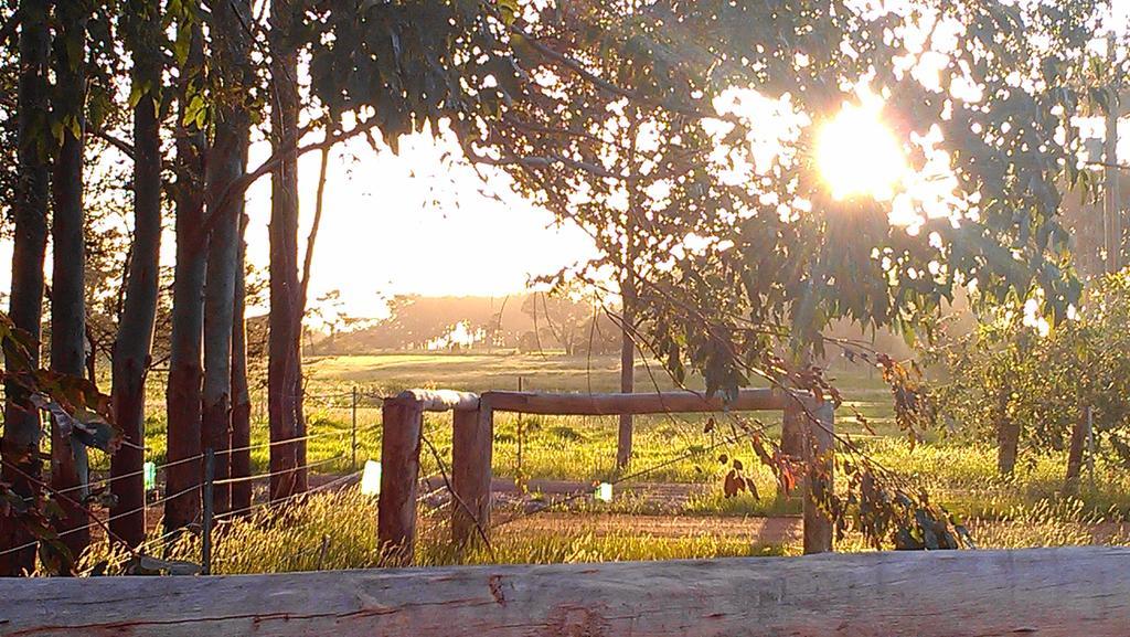 Redgate Forest Retreat Witchcliffe ภายนอก รูปภาพ